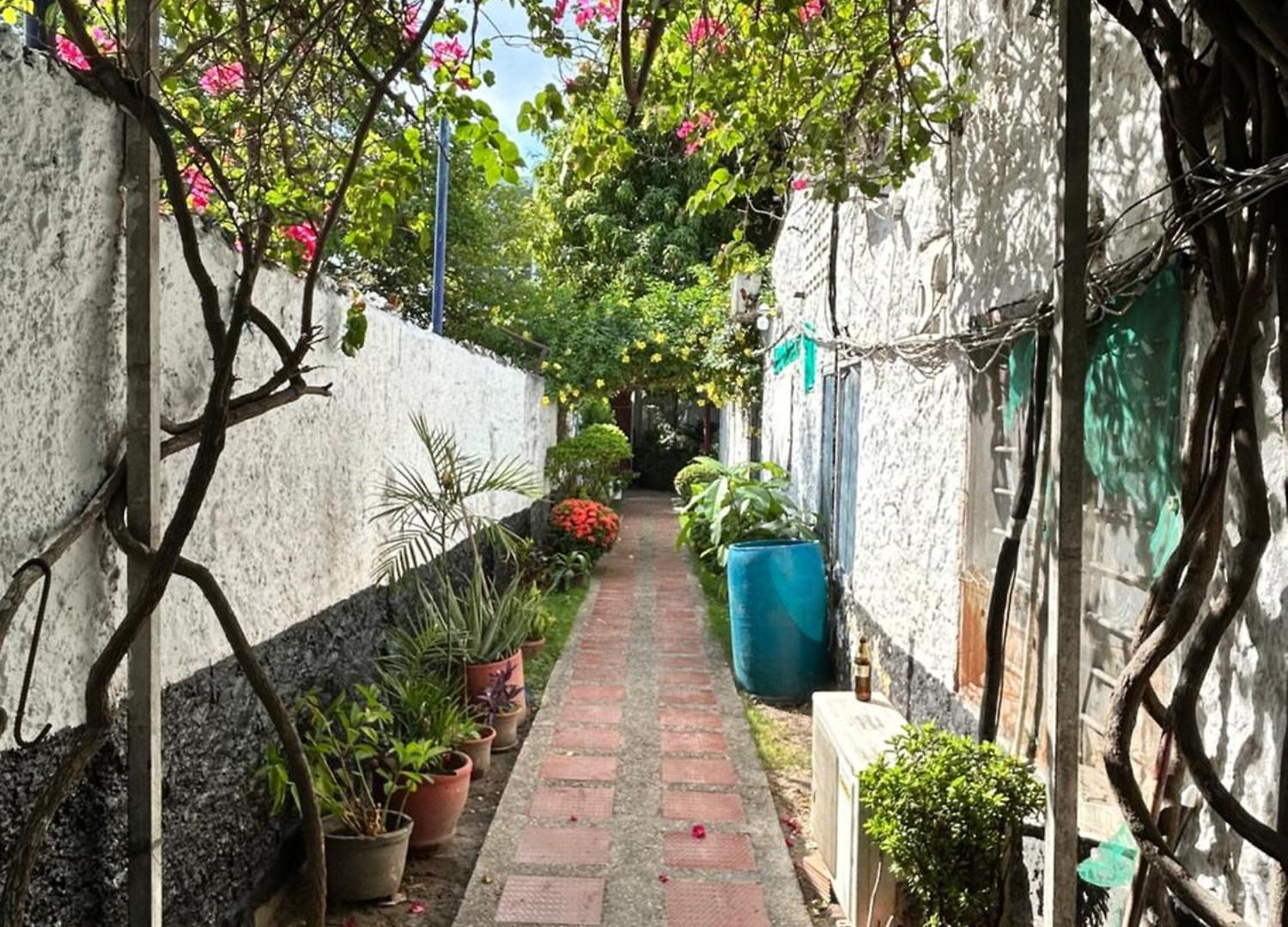 & Restaurantes Dona Nerta Guest house *