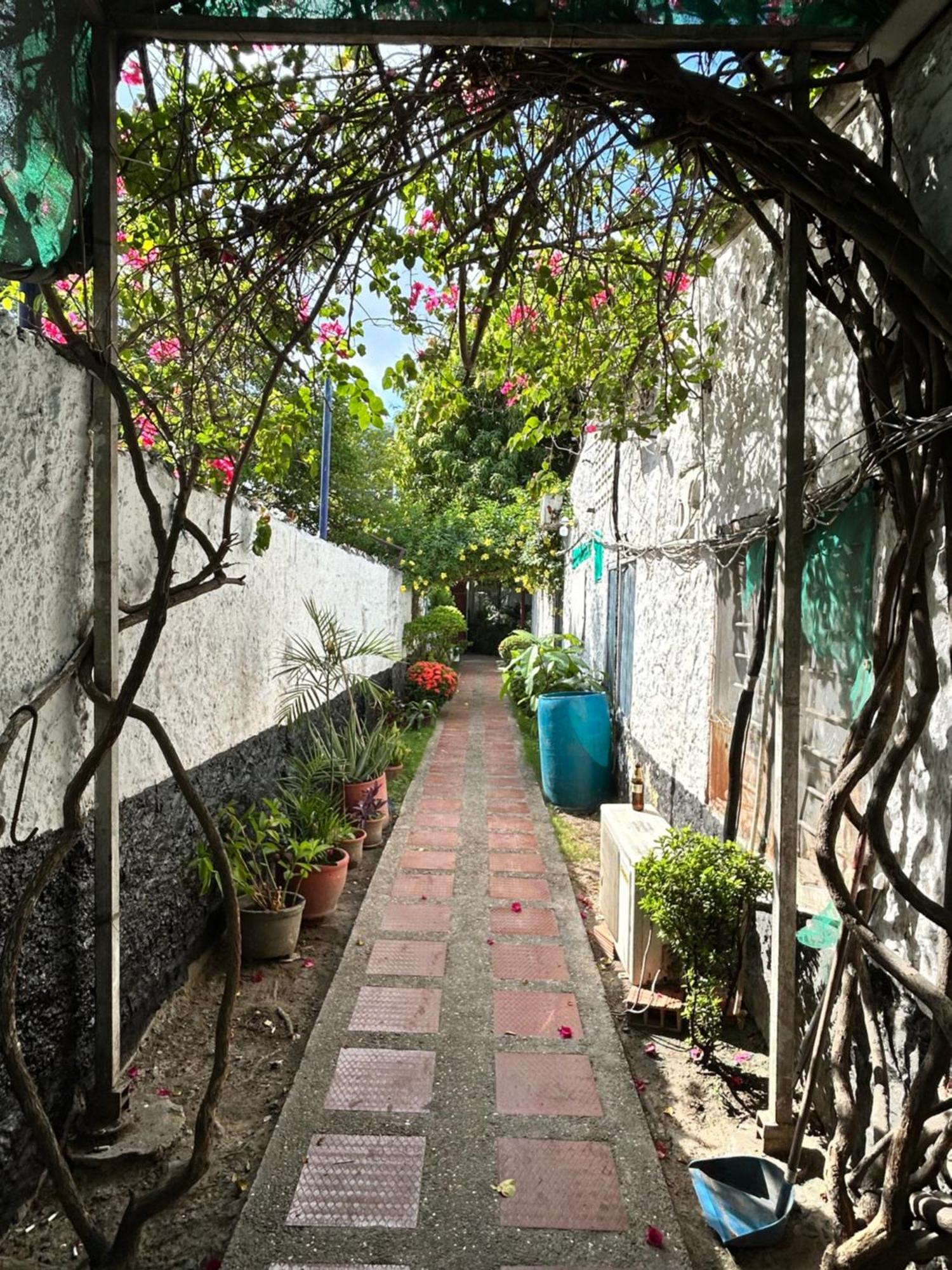 & Restaurantes Dona Nerta Guest house *